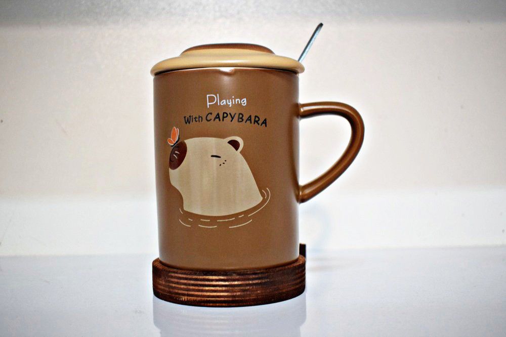 ماگ استوانه کاپی بارا